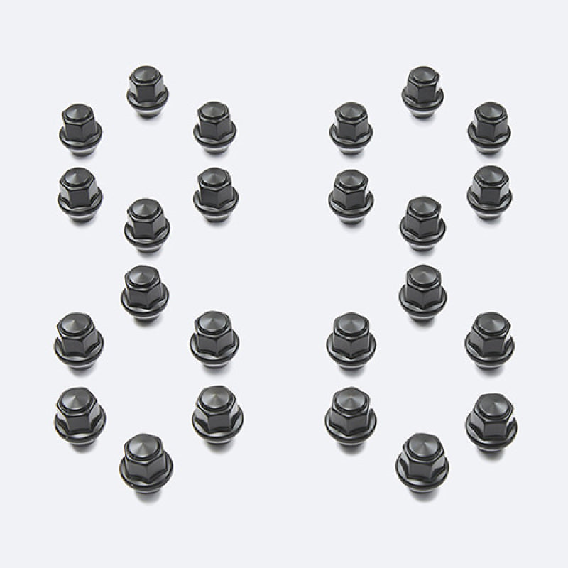 Ford Racing M14 x 1.5 Black Lug Nut - Set of 24 M-1012K-F15B