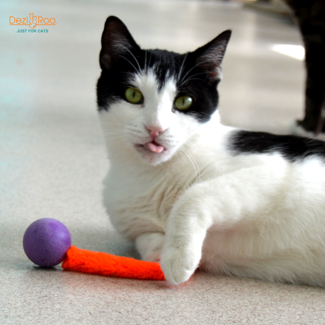 🐱🏓 Wiggly Ping Pong Cat Toy – Rattle Ball with Corkscrew Tail