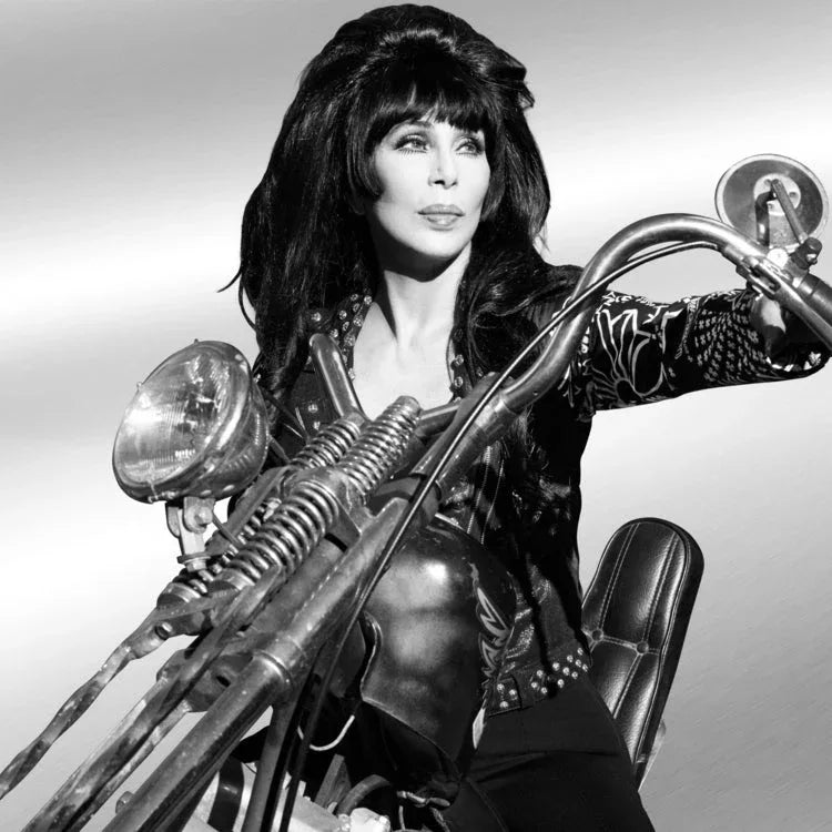 Cher - Forever (2 LP) - PhishStones Products