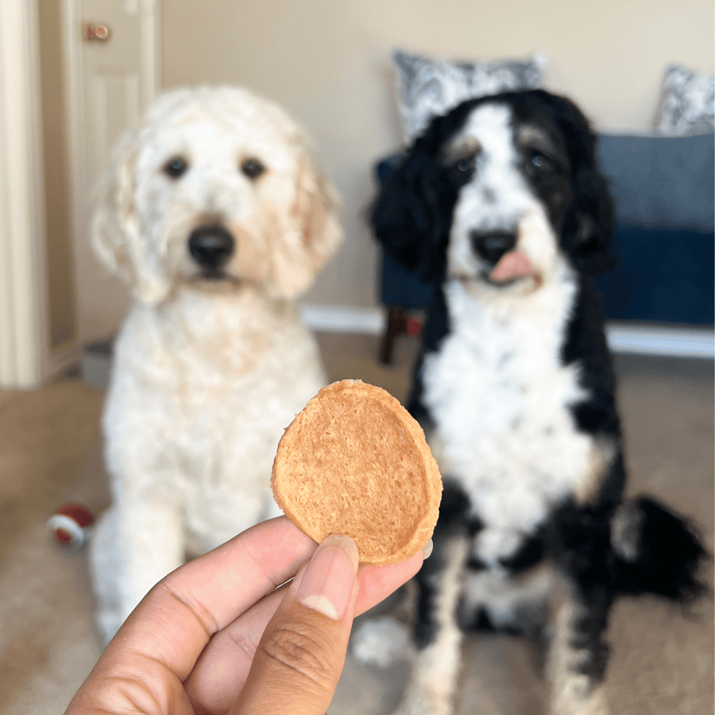 Chicken Chips for Dogs | All - Natural Single - Ingredient Dog Treats - PhishStones Products