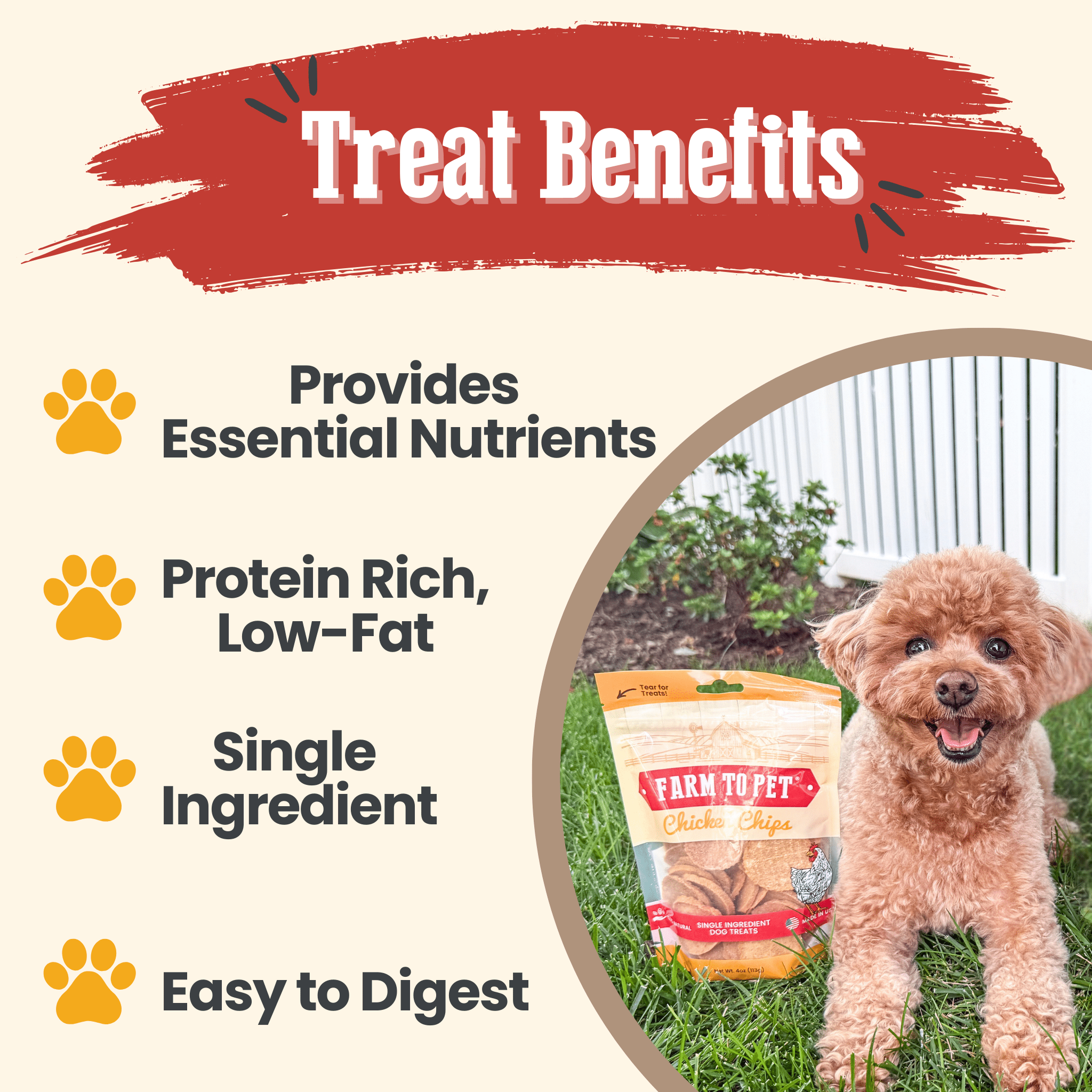 Chicken Chips for Dogs | All - Natural Single - Ingredient Dog Treats - PhishStones Products