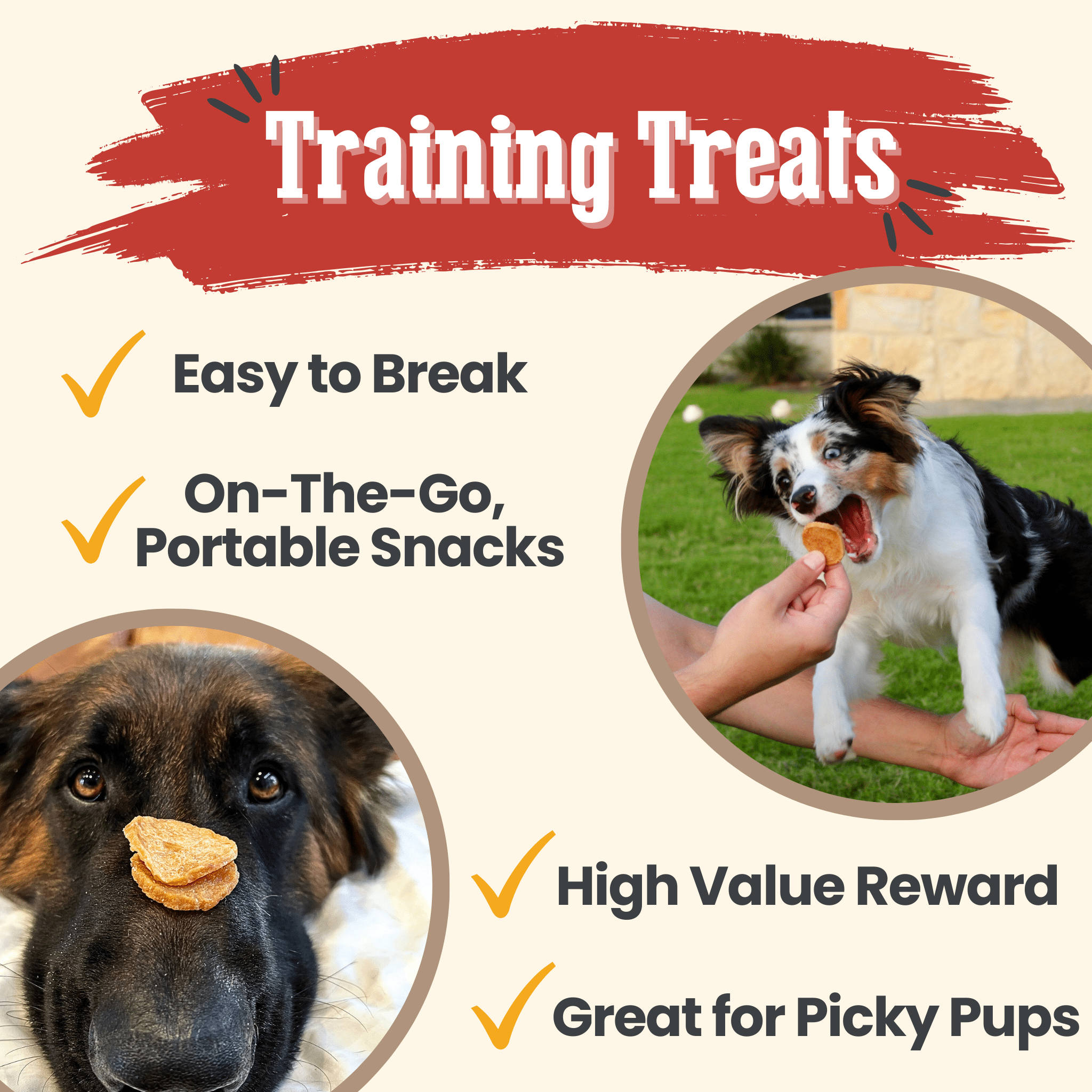 Chicken Chips for Dogs | All - Natural Single - Ingredient Dog Treats - PhishStones Products