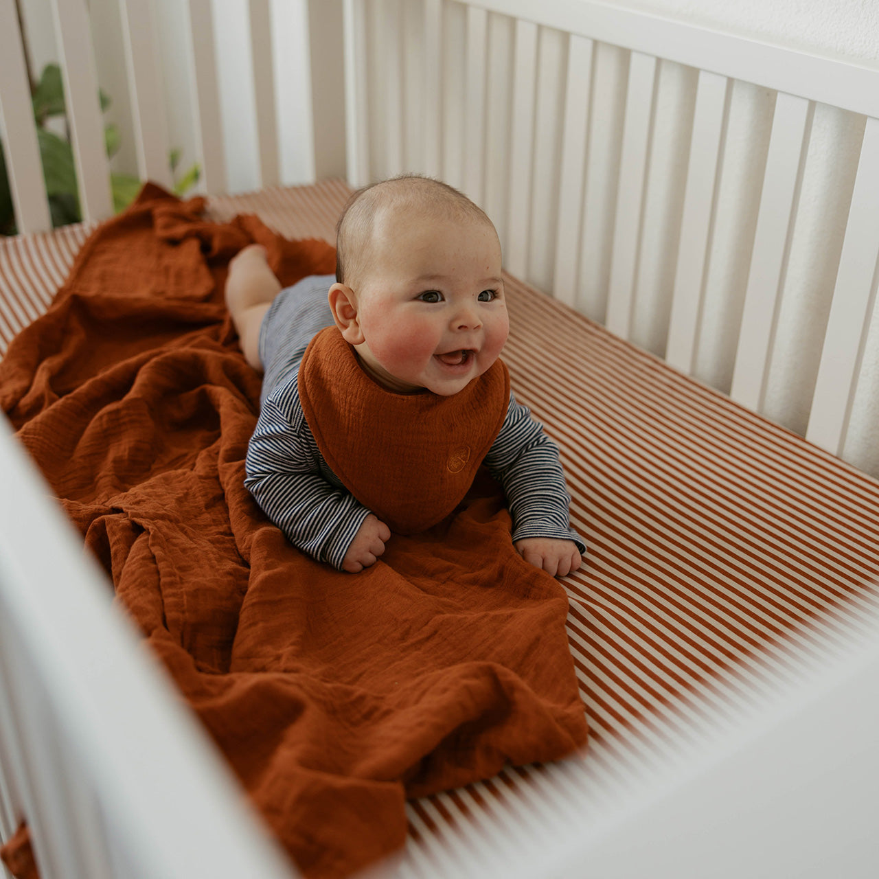 Clay Swaddle Set - PhishStones Products