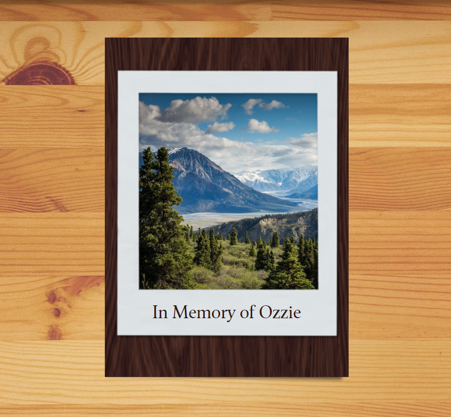 Pet Loss Memorial Tree Gift - Plant a Tree in Memory in a National Forest & Send a Personalized Card