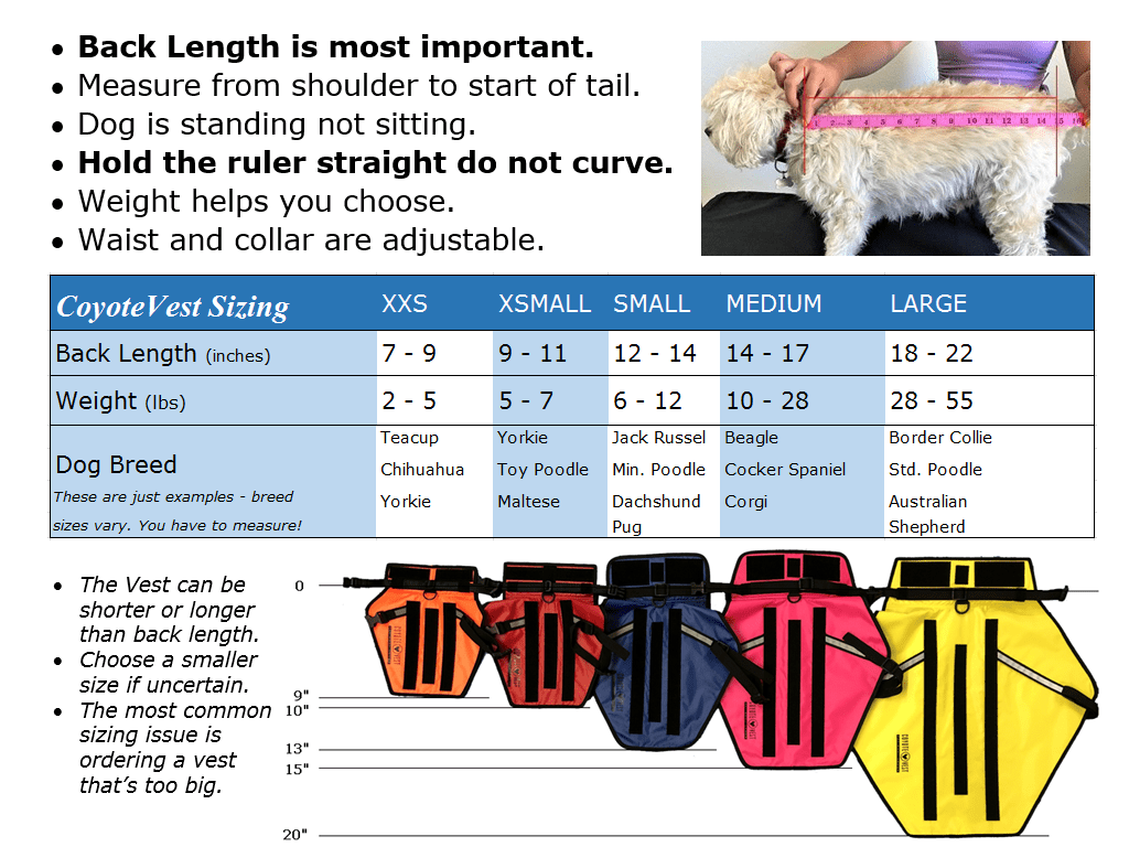 CoyoteVest - PhishStones Products