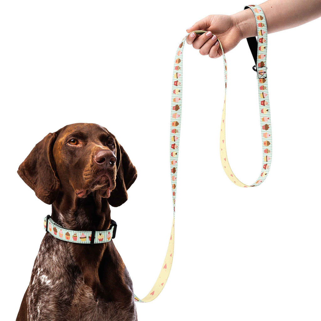 Cupcakes Dog Collar & Leash