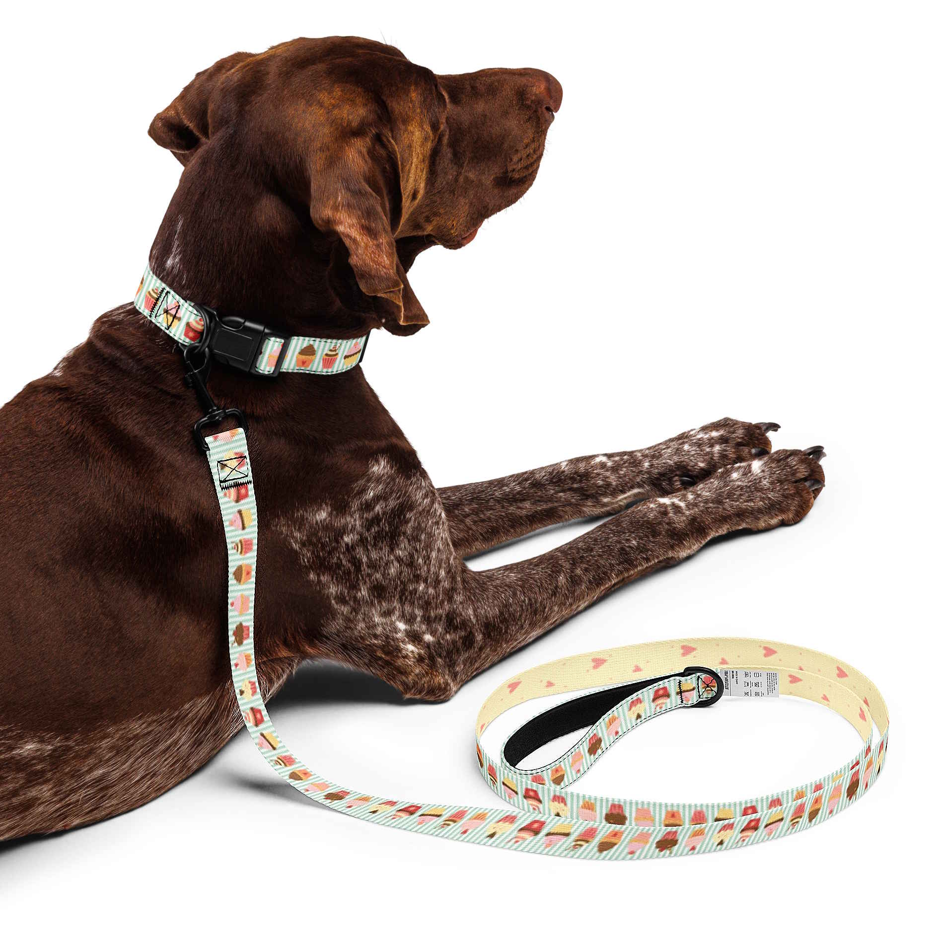 Cupcakes Dog Collar & Leash