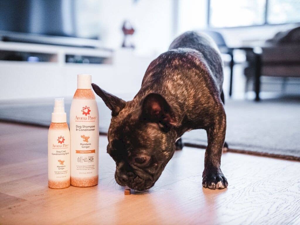 🐾 Mandarin Ginger Shampoo 13.5oz