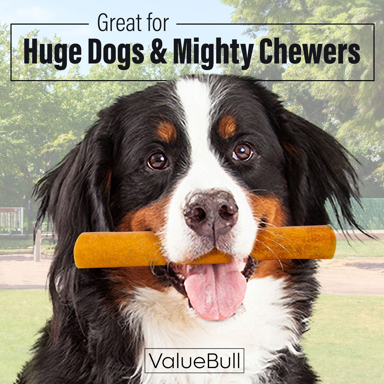 ValueBull Buffalo Collagen Sticks, 6 Inch Super Jumbo Chews, 25 Count