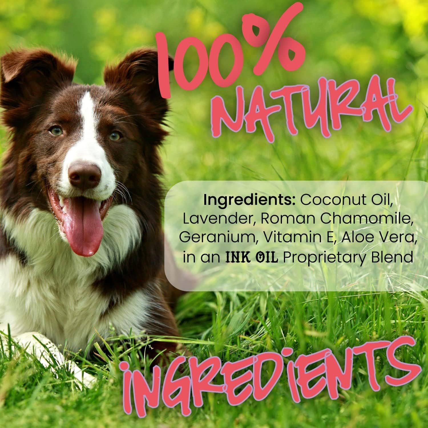 🐶🌿Itchy Pup Dog Skin Relief Oil for Allergies & Hot Spots
