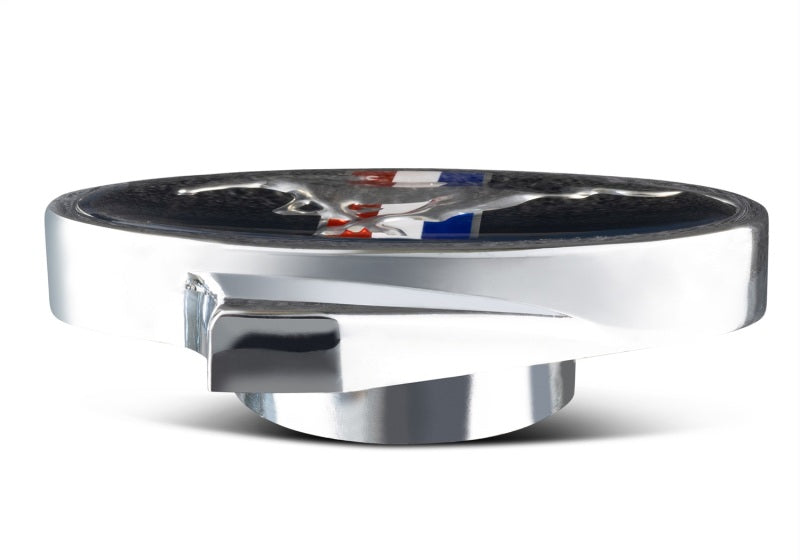Ford Air Cleaner Wing Nut Chrome 1/4-20 Threads FRD302-337