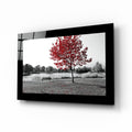 Scarlet Tree Lake Bench Glass Wall Art