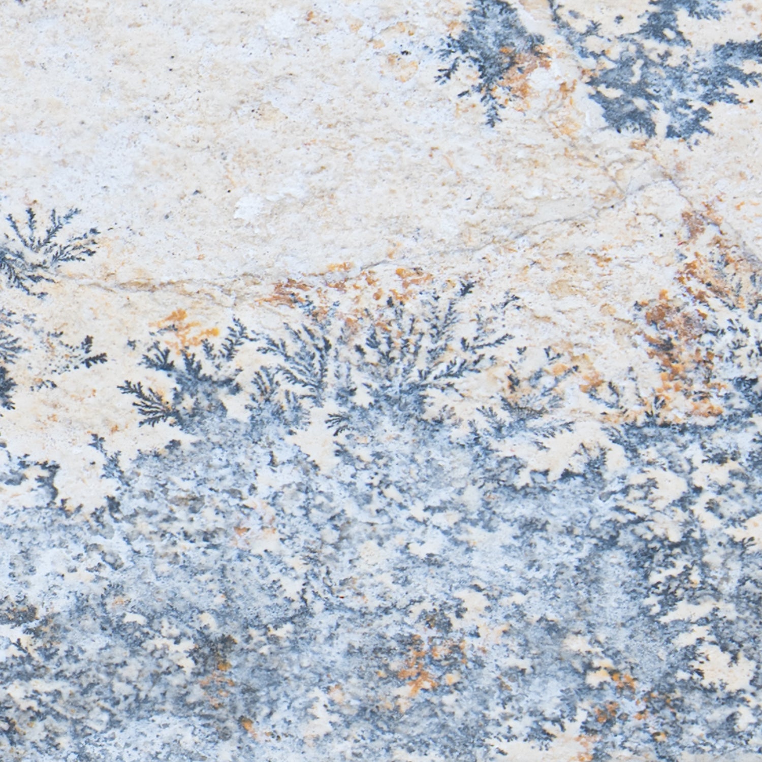 Dendrite Crystal Portraits