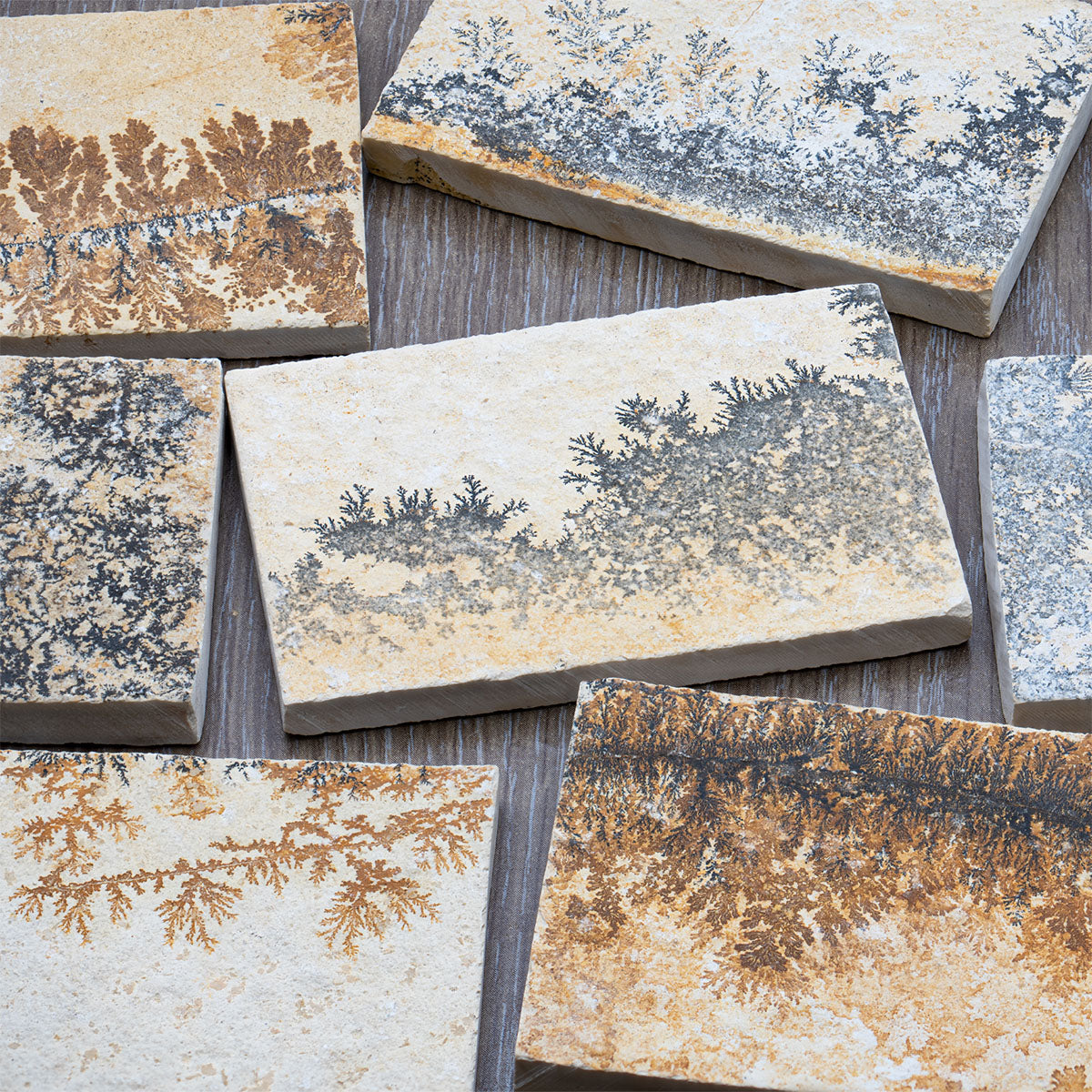 Dendrite Crystal Portraits