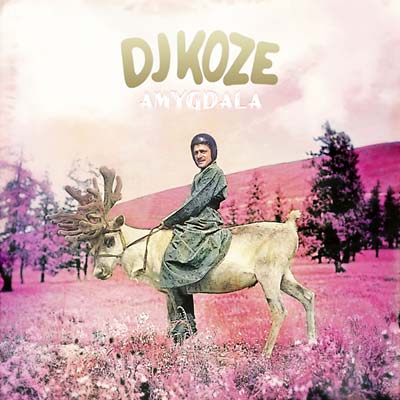 DJ Koze - Amygdala |