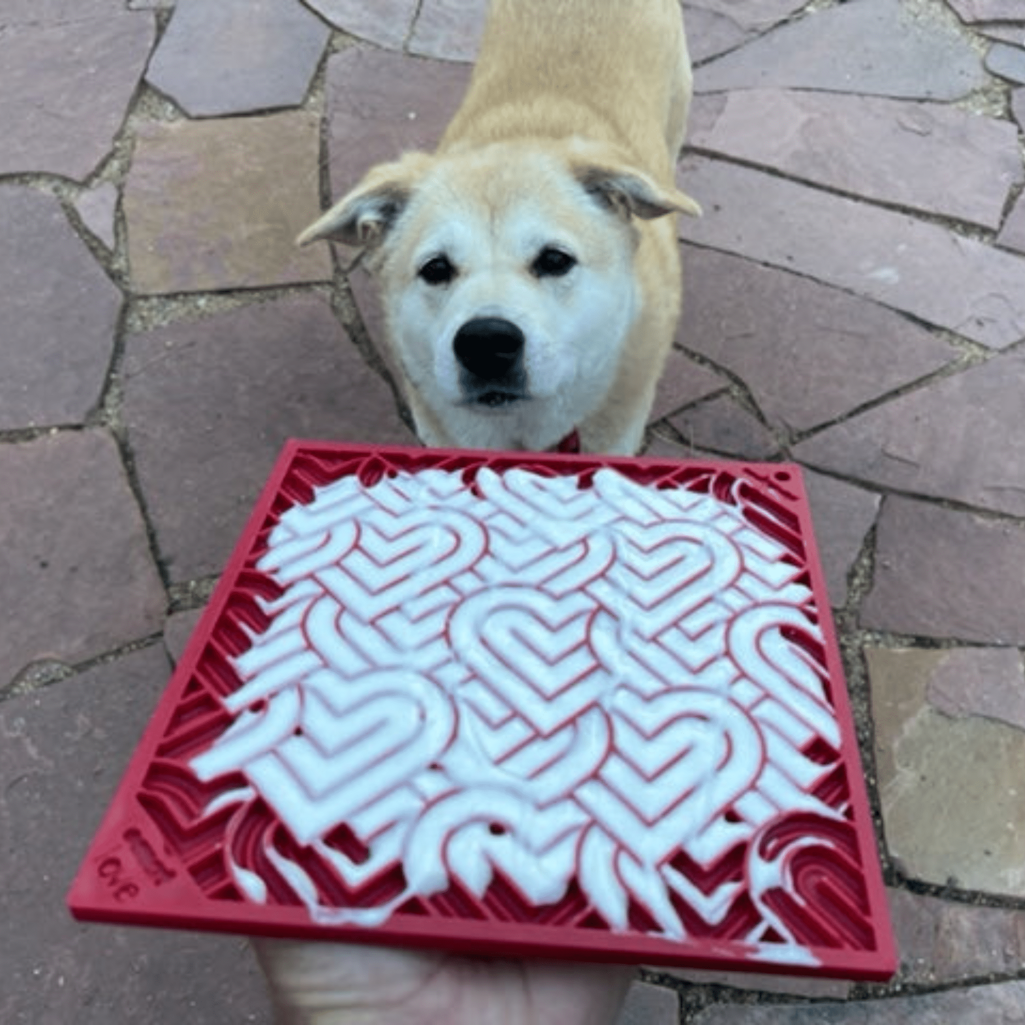 Dog Lick Mats - PhishStones Products