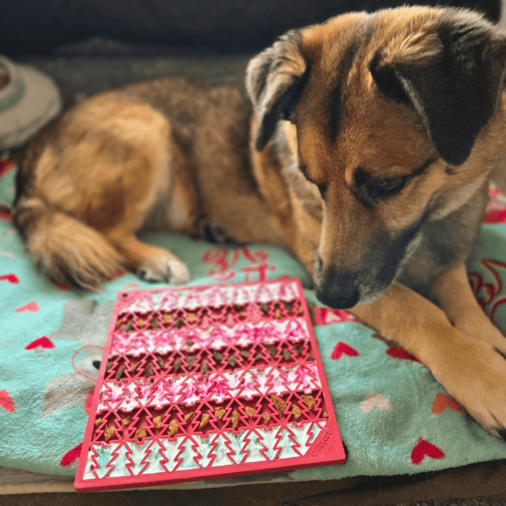 Dog Lick Mats - PhishStones Products