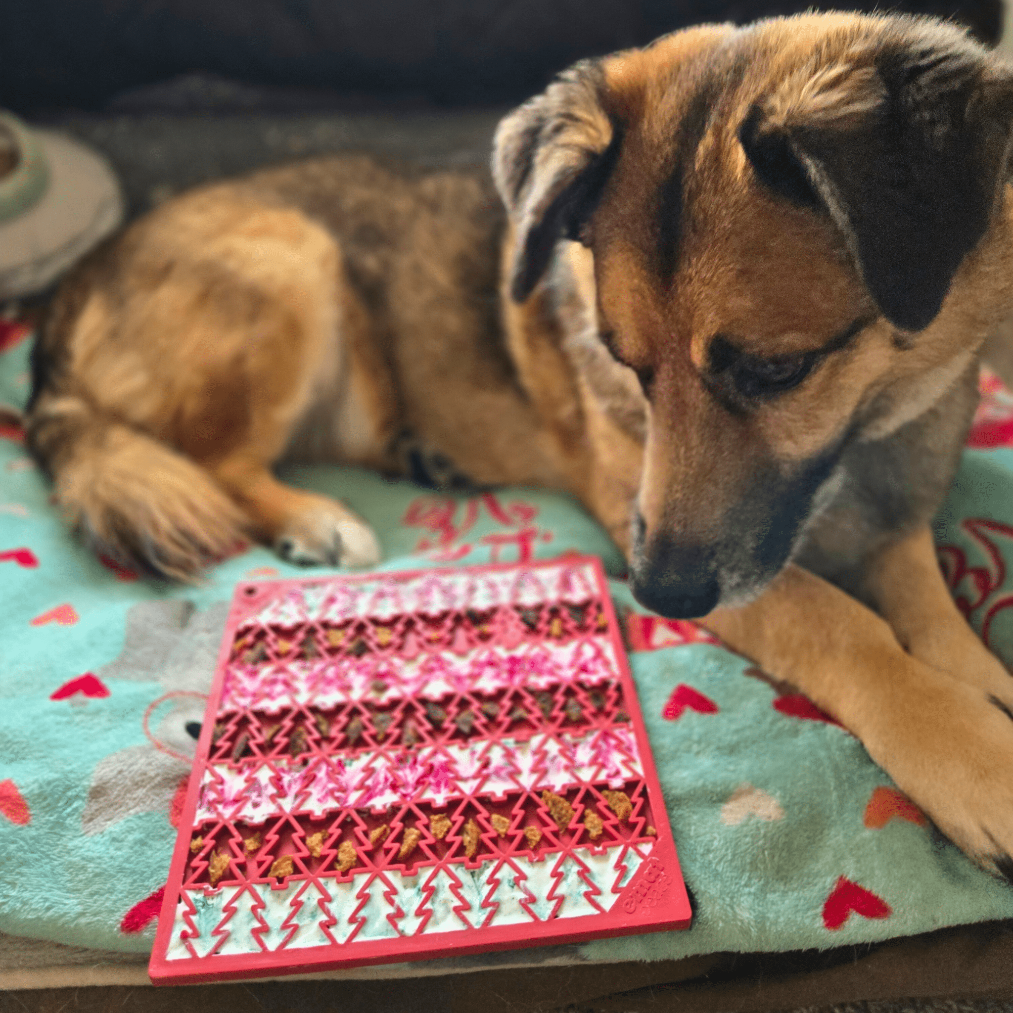 Dog Lick Mats - PhishStones Products