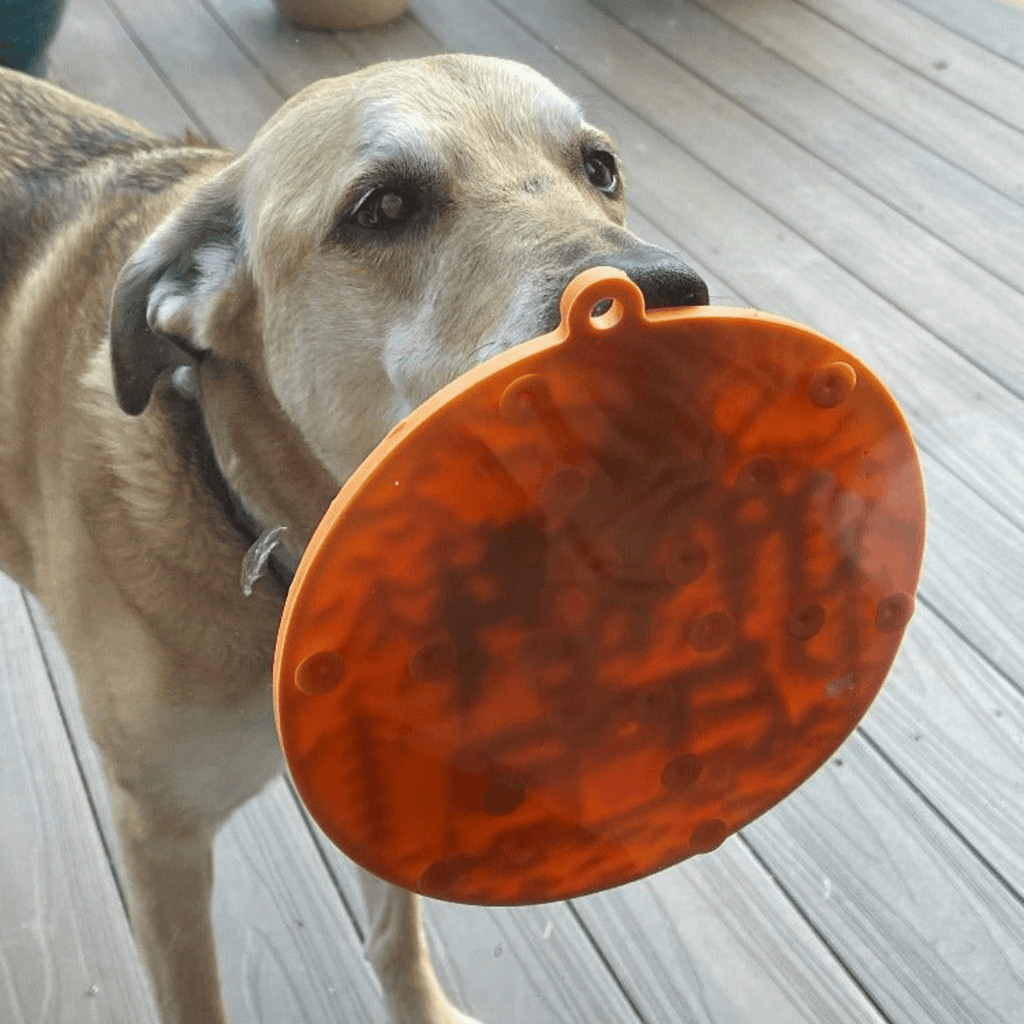 Dog Lick Mats with Suction Cups - PhishStones Products