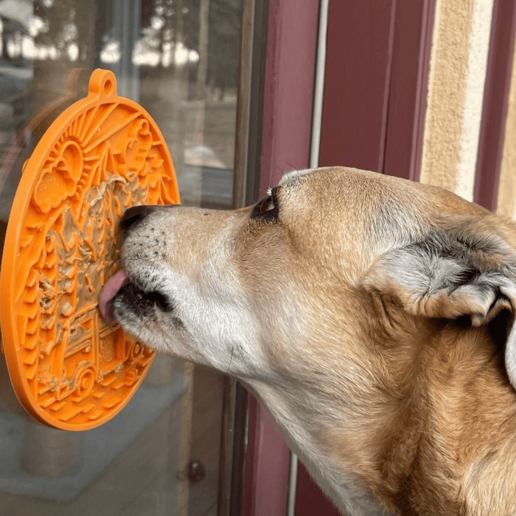 Dog Lick Mats with Suction Cups - PhishStones Products