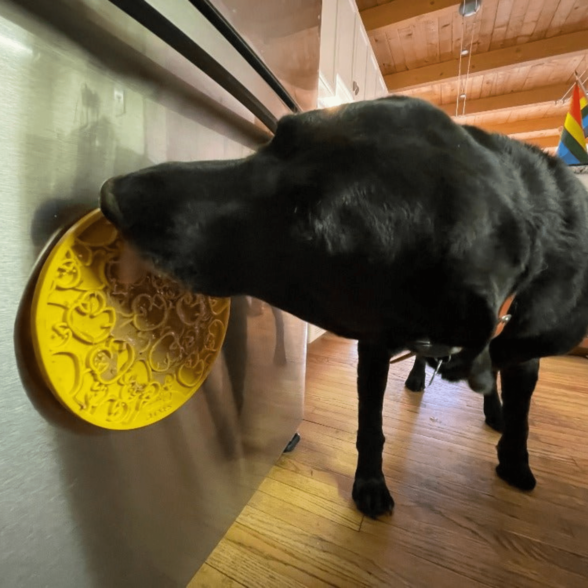 Dog Lick Mats with Suction Cups - PhishStones Products