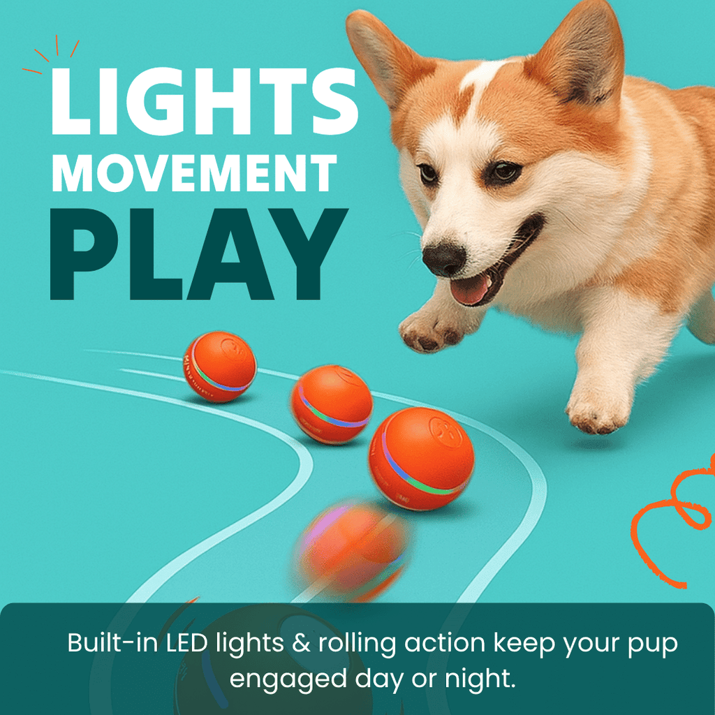 DOG’S INTERACTIVE BALL - PhishStones Products
