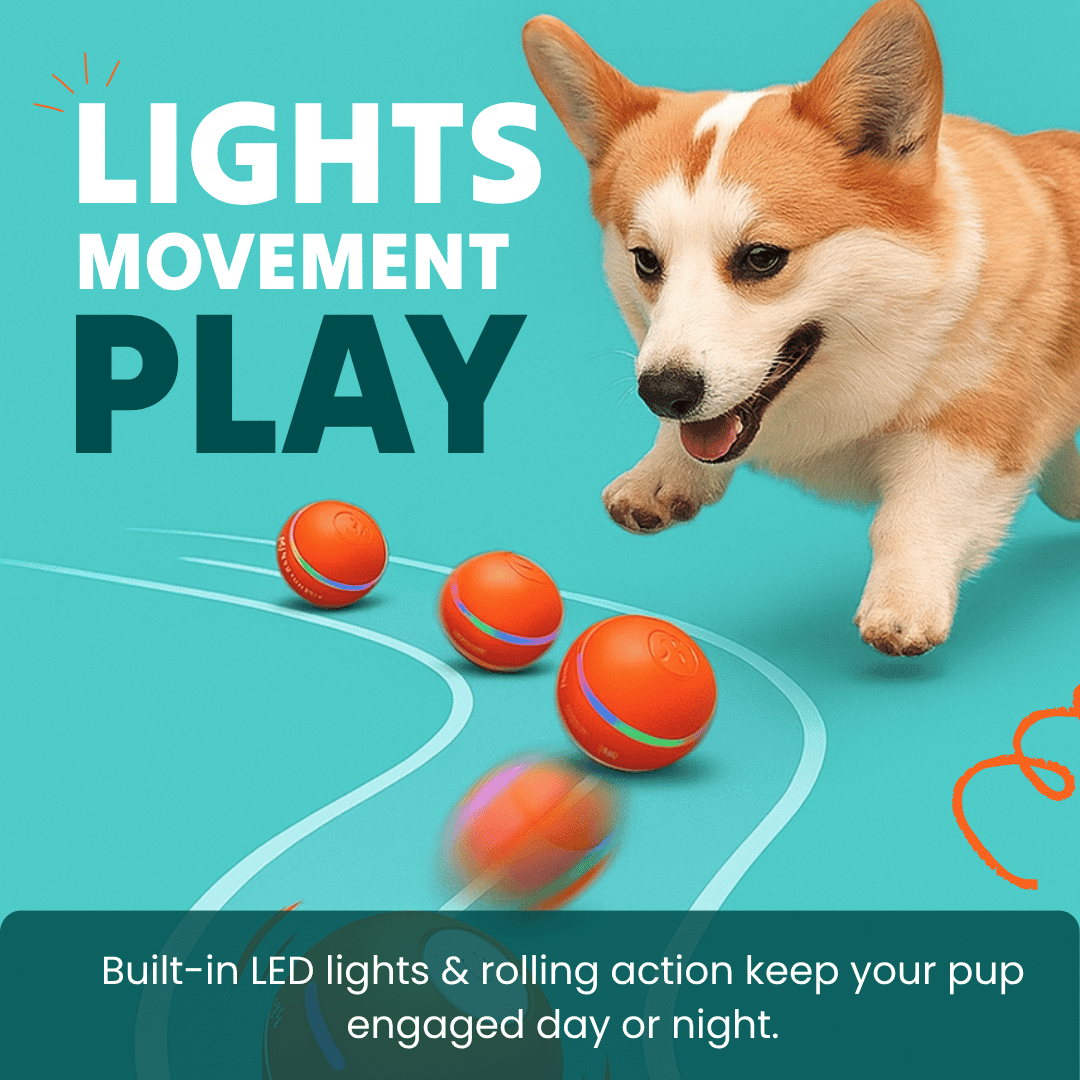 DOG’S INTERACTIVE BALL - PhishStones Products