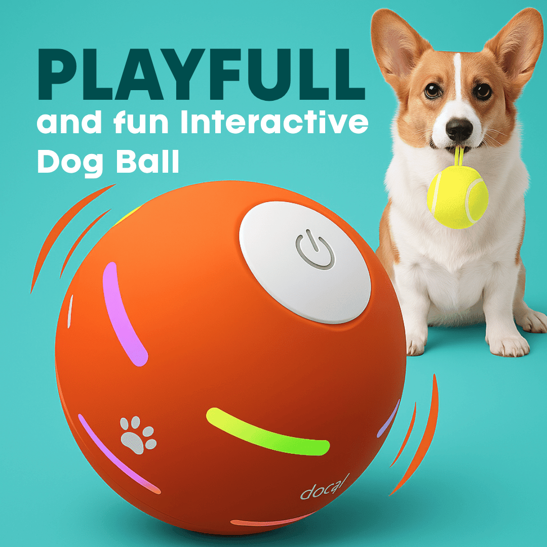 DOG’S INTERACTIVE BALL - PhishStones Products