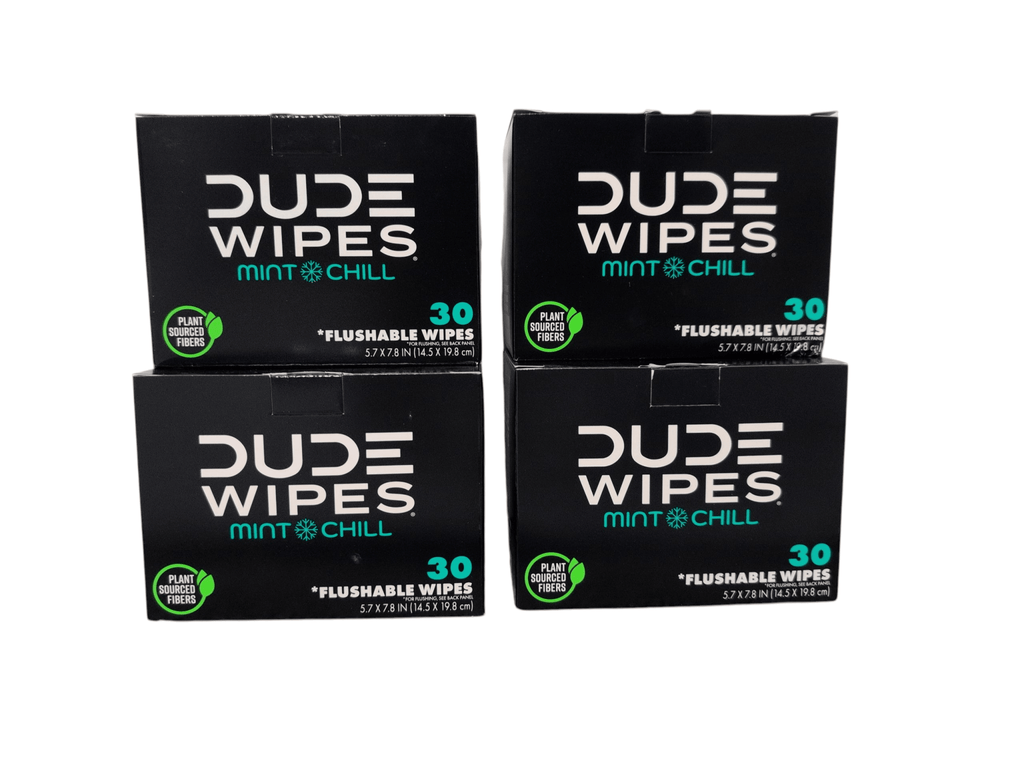 DUDE Wipes XL Flushable Wipes – Fragrance Free, Hypoallergenic Adult Wipes (400 CT / 480 CT)