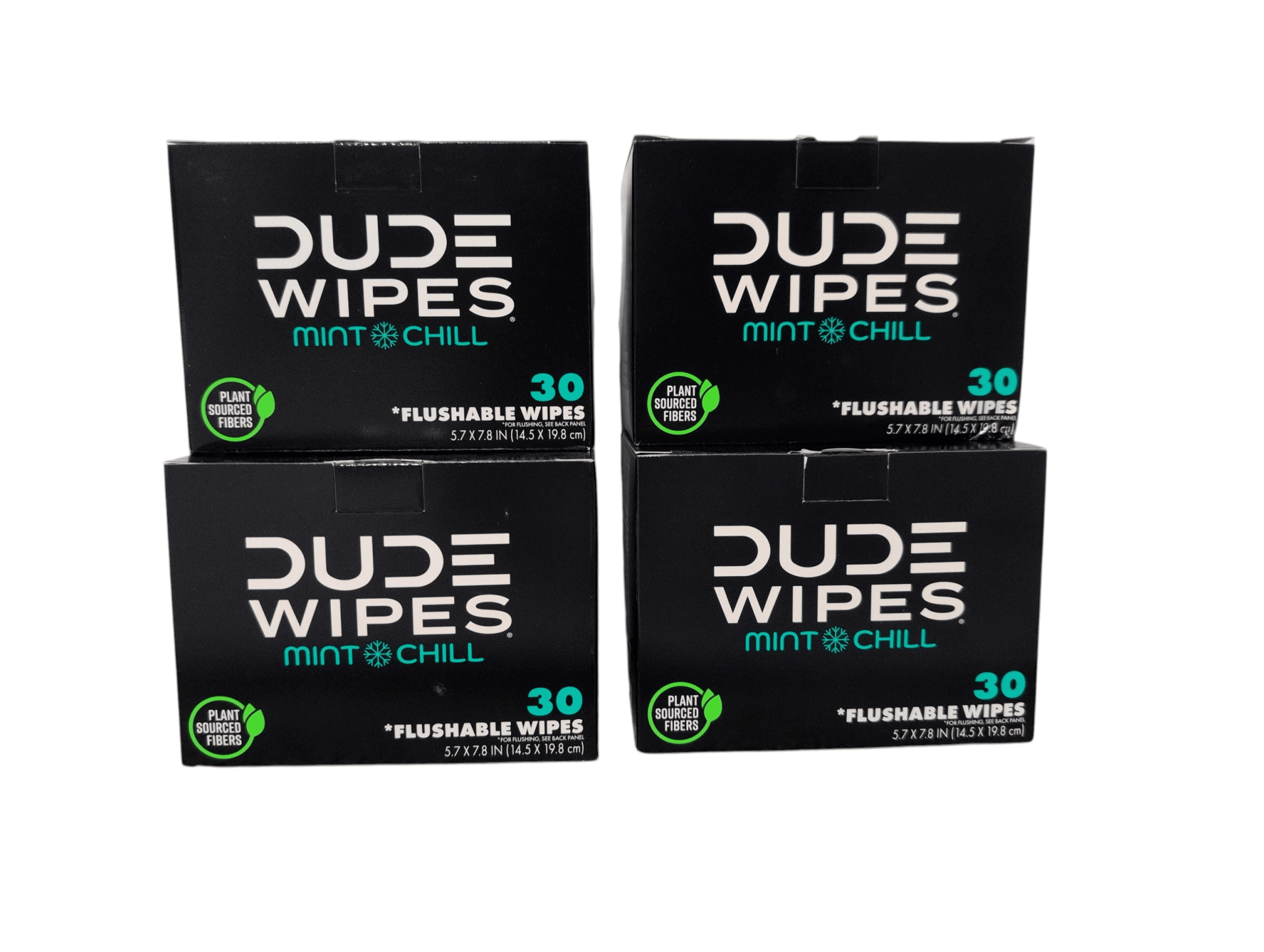 DUDE Wipes XL Flushable Wipes – Fragrance Free, Hypoallergenic Adult Wipes (400 CT / 480 CT)