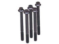 ARP Standard Hex Bolt 5pc Stainless Steel 1/2-13 x 5