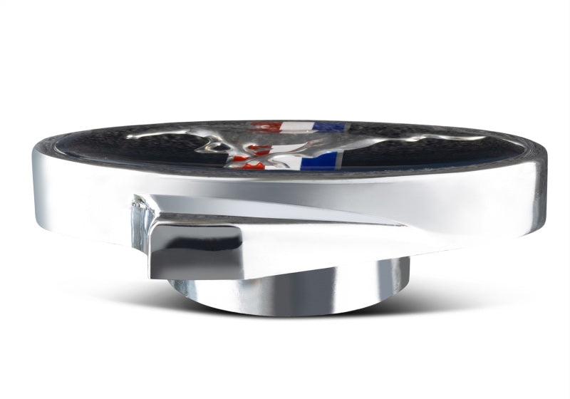 Ford Air Cleaner Wing Nut Chrome 1/4-20 Threads FRD302-337