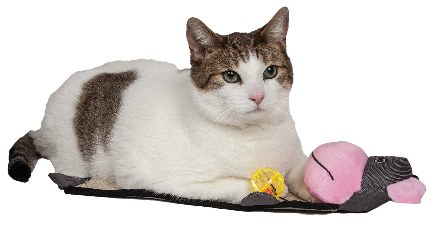 🐈💕🌿Eco-Natural Sisal Scratcher & Toy