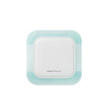 Silicone Foam Dressing Biatain® Silicone Fit 7 X 7 Inch With Border Film Backing Silicone Adhesive Square Sterile 37542