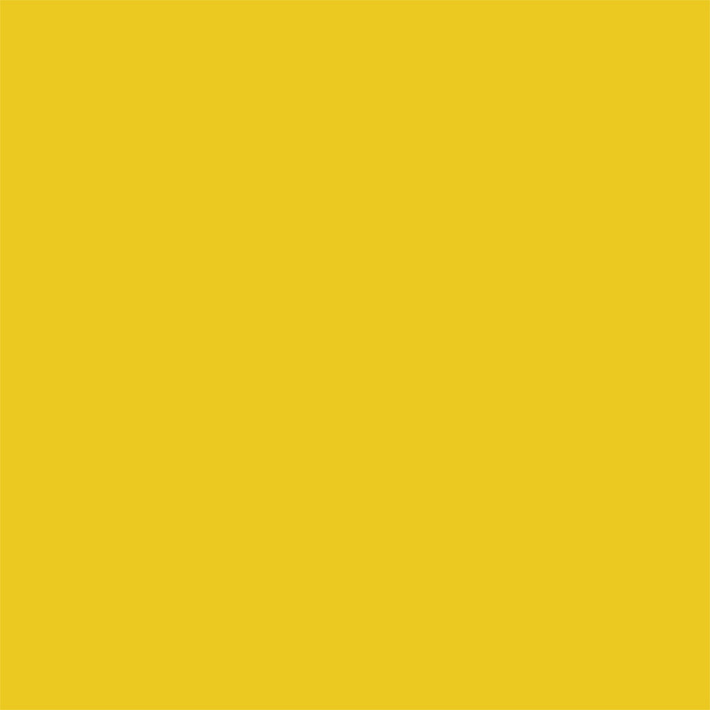 Proscope Disposable Stethoscope, Binaural, Yellow, 22 Inch 664Y