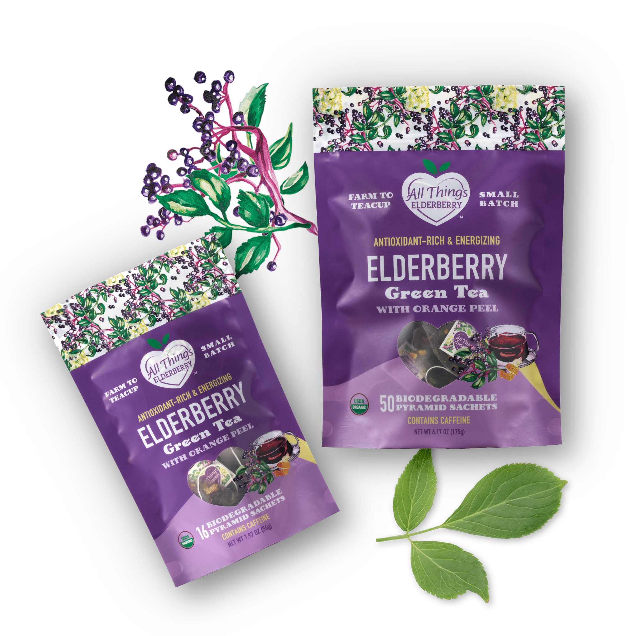 Elderberry Green Tea Blend - PhishStones Products