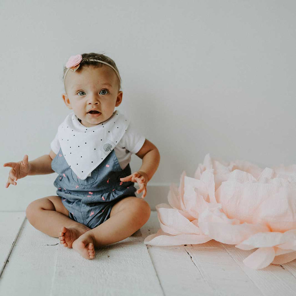 Essentials Set - Bows and Headbands - 10 Pack - PhishStones Products