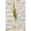 Giant Millet Spray Cream  (Pack of 4)