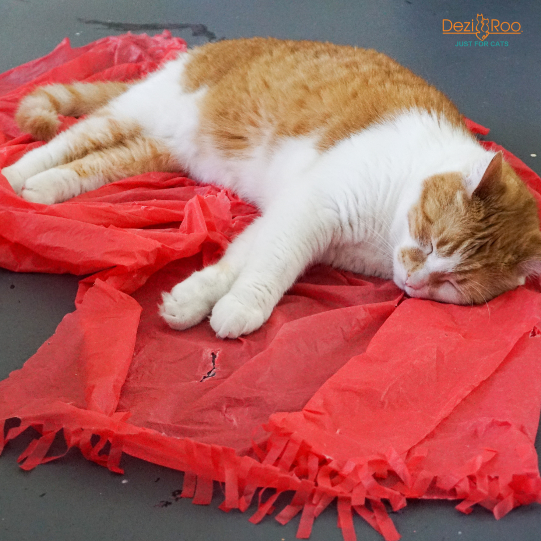 🐱✨ Magic Carpet Cat Play Tent – Crinkle Hideaway & Interactive Play Mat