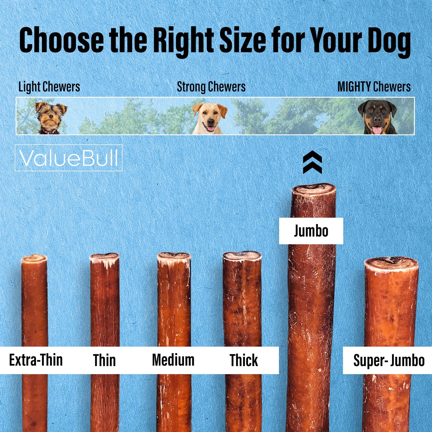 ValueBull Bully Sticks for Large Dogs, Jumbo 12 Inch, 50 Count
