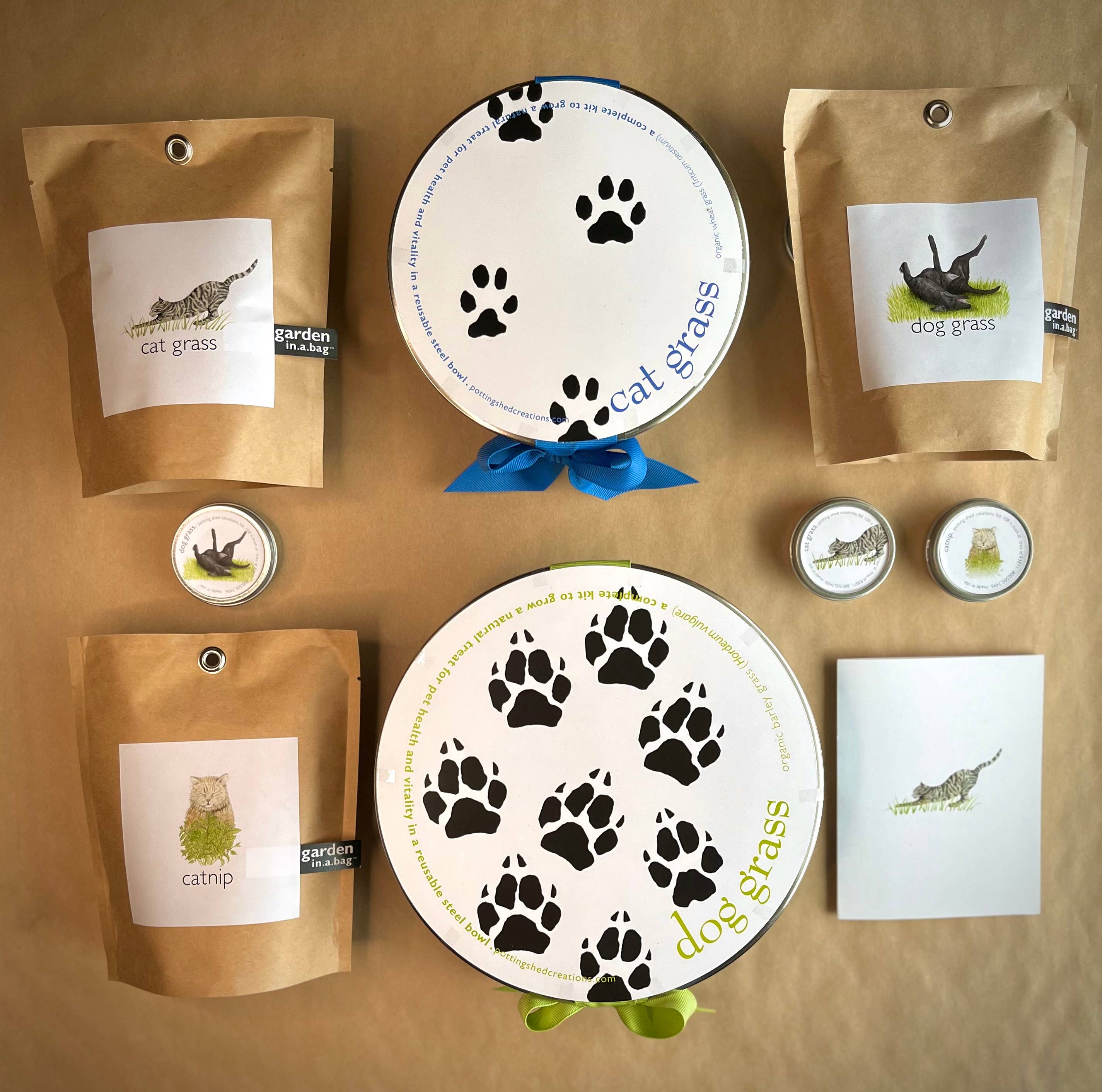 🐱🌱Garden in a Bag | Cat Grass | Spring Pet Treat Gift