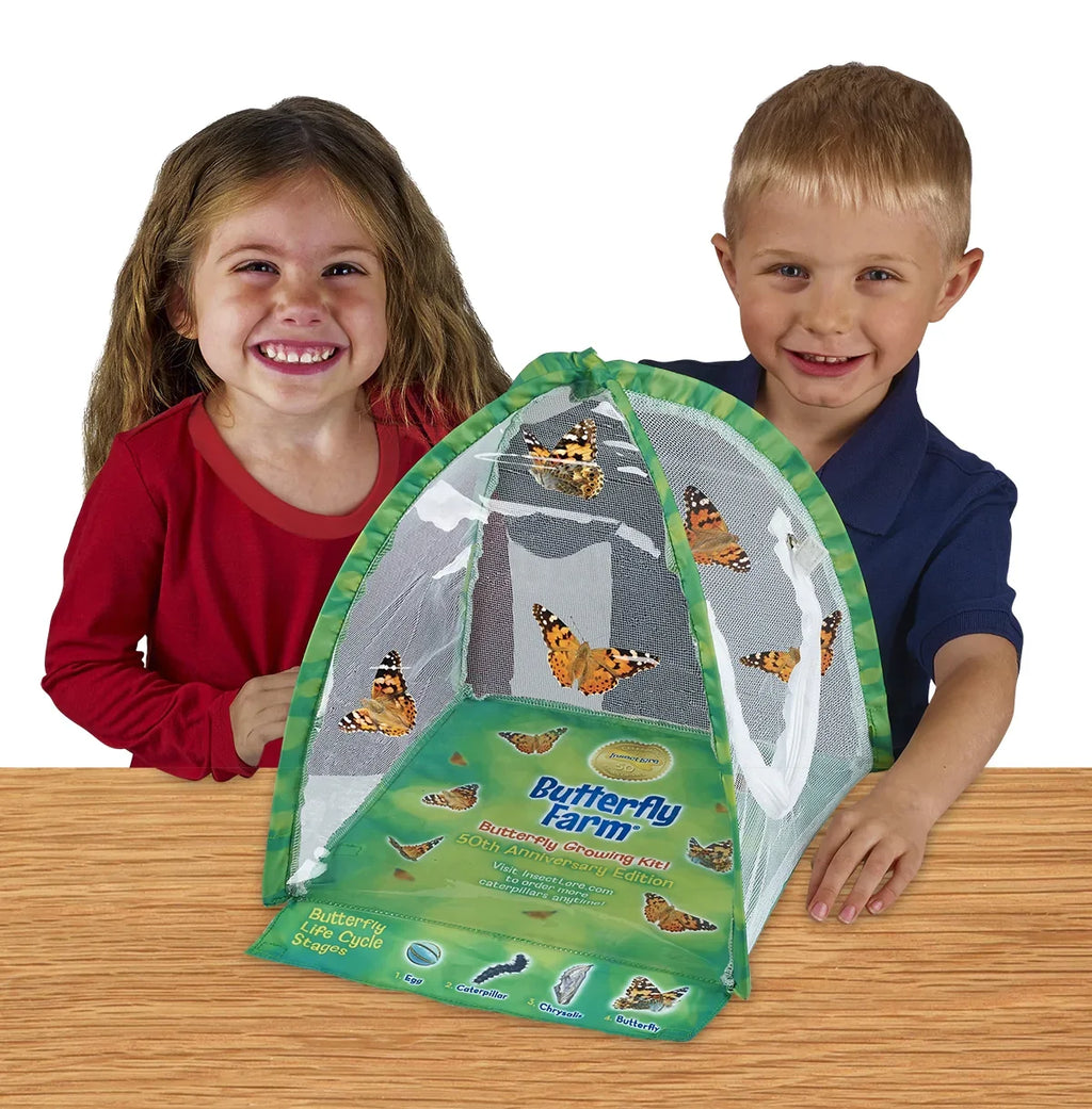 Butterfly Farm