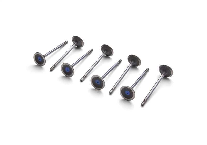 Ford Racing Coyote 5.2L Lightweight Exhaust Valve - Set of 8 M-6505-M52