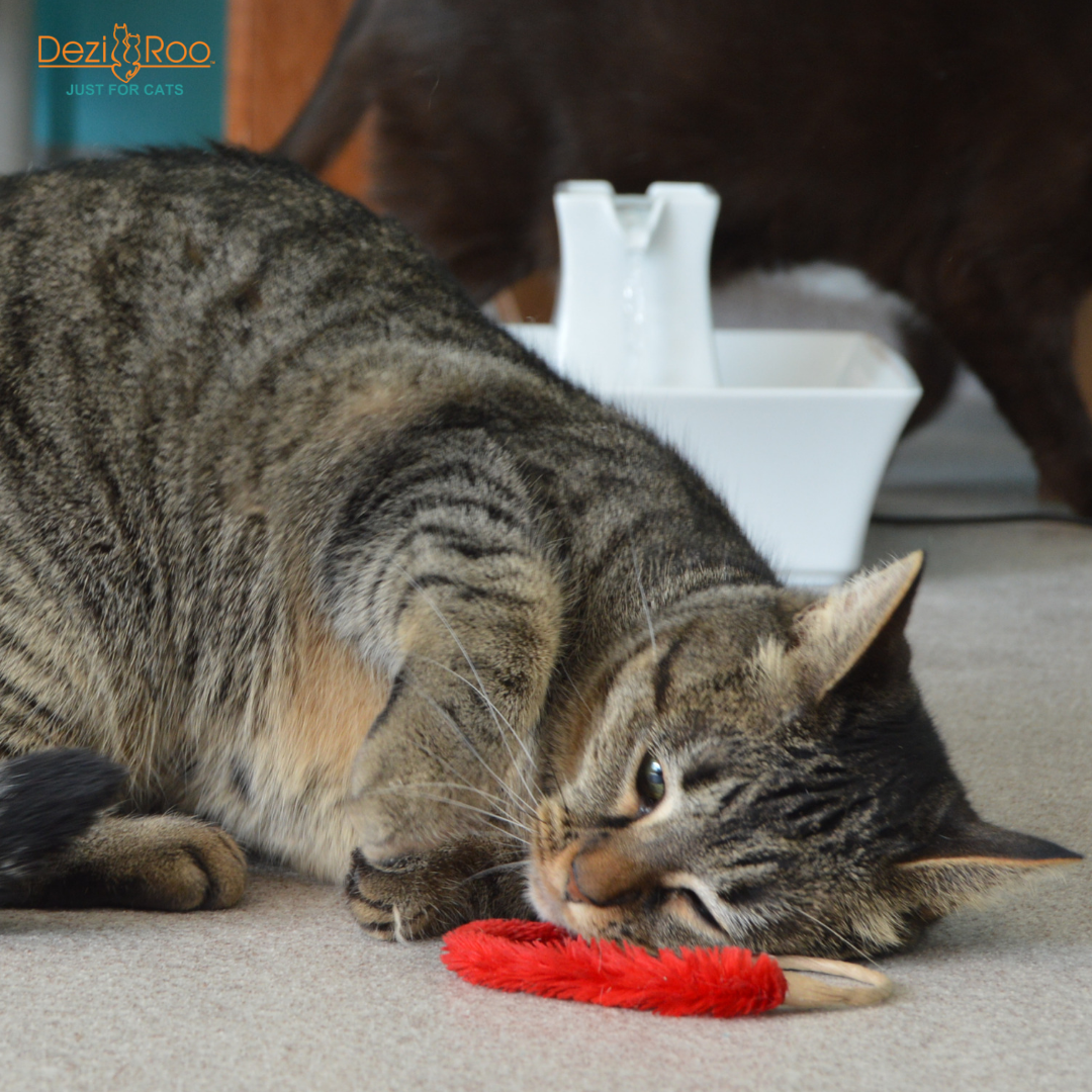 🌿🐱 A-Lure-Ring Cat Toy – Eco-Friendly Hunting Ring with Flutter Tail