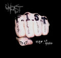 F.I.S.T. E.P. (CD) | Mint (M) Mint (M) - PhishStones Products