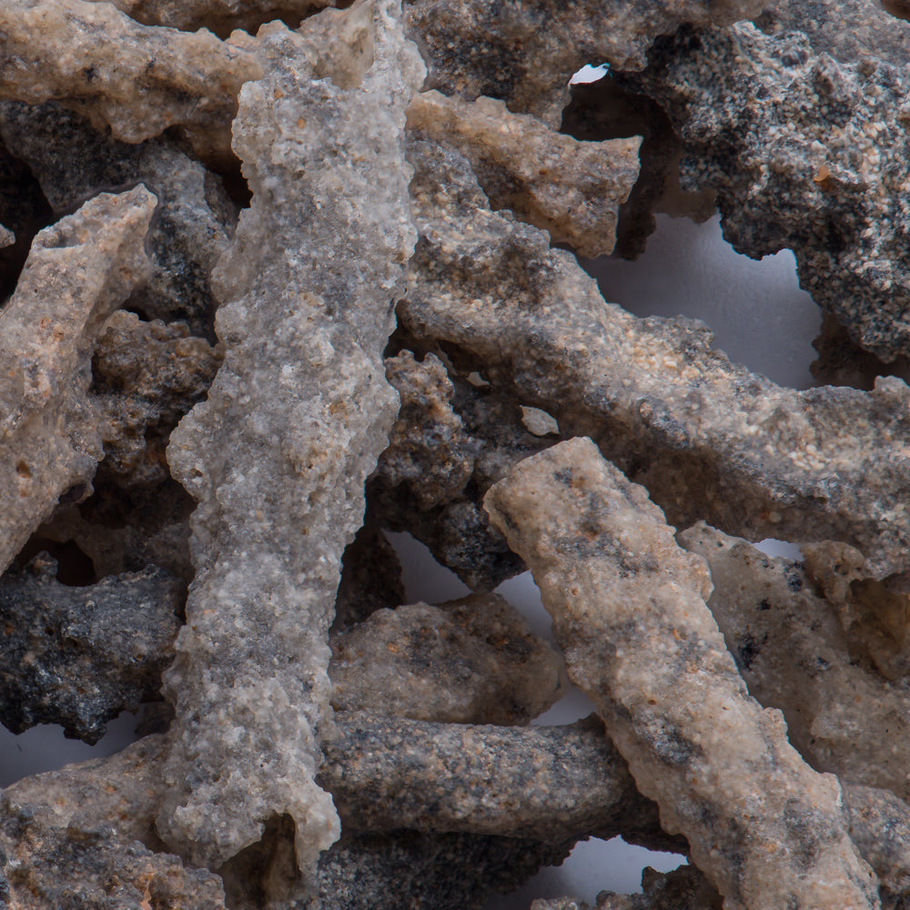 Petrified Lightning - Saharan Fulgurite Riker Box Specimen