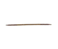 GOLDEN STRAP - PhishStones Products
