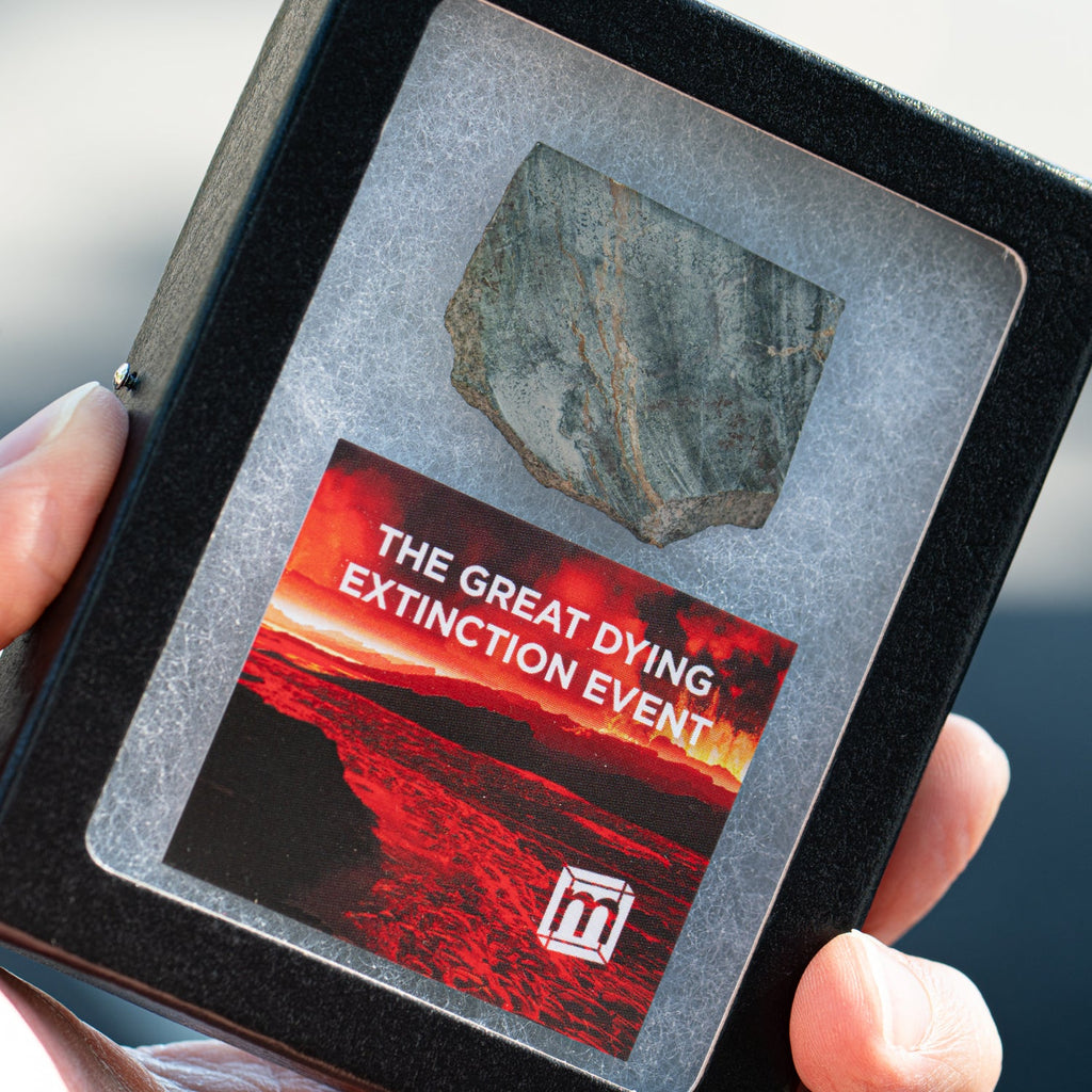 The Great Dying Extinction Event - Siberian Traps Slab