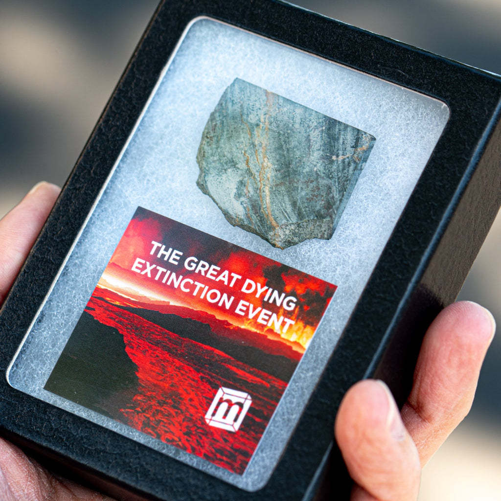 The Great Dying Extinction Event - Siberian Traps Slab