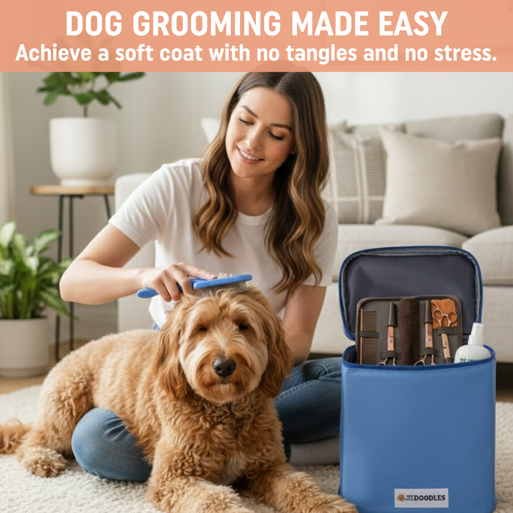 Ultimate At-Home Grooming Pack + Organizer Bag